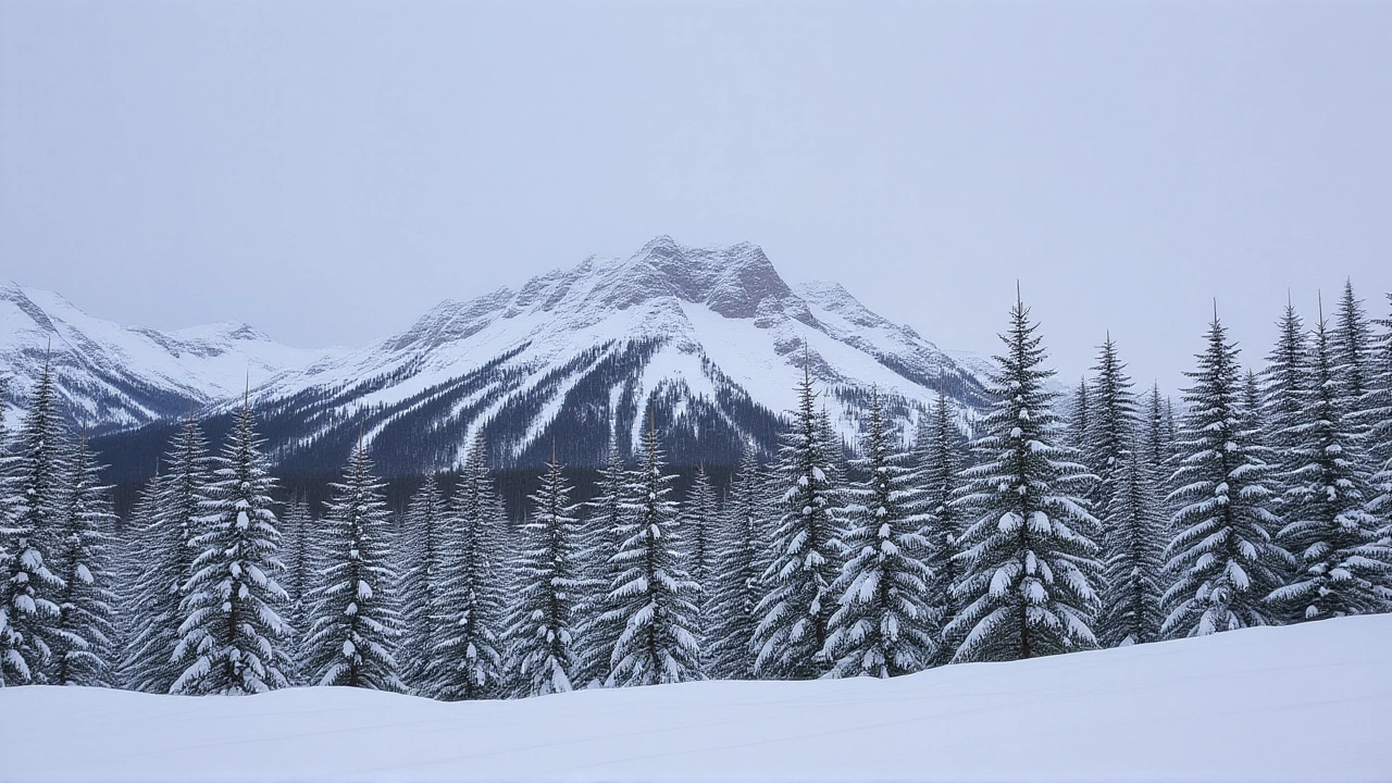 Forecasts for the rest of the season: Slovakia and the Alpine belt